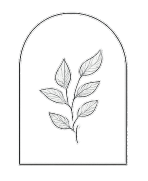 Pasha Mediterranean Cuisine Logo